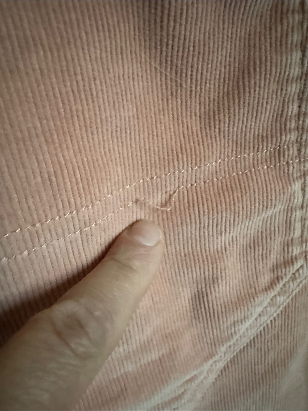 Everlane Way-High Gardener Cropped Pants - 8 US - light salmon corduroy - Picture 5 of 5